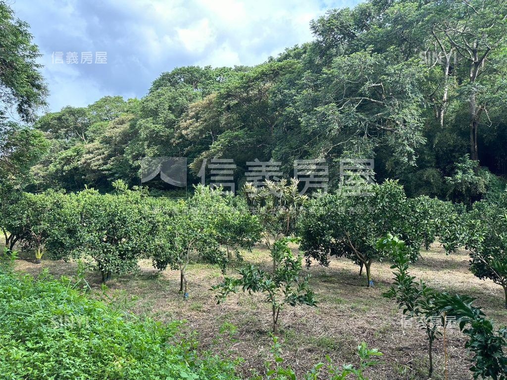 香山海山段農牧用地（大）房屋室內格局與周邊環境