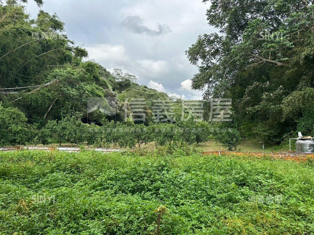 香山海山段農牧用地（大）房屋室內格局與周邊環境