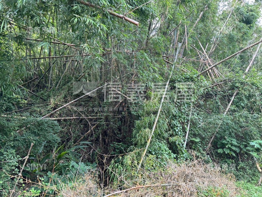 香山海山段農牧用地（大）房屋室內格局與周邊環境