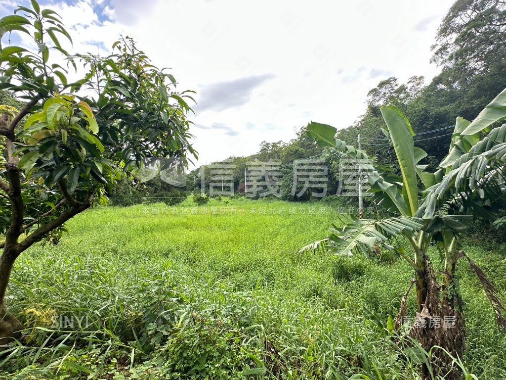 香山海山段農牧用地（大）房屋室內格局與周邊環境