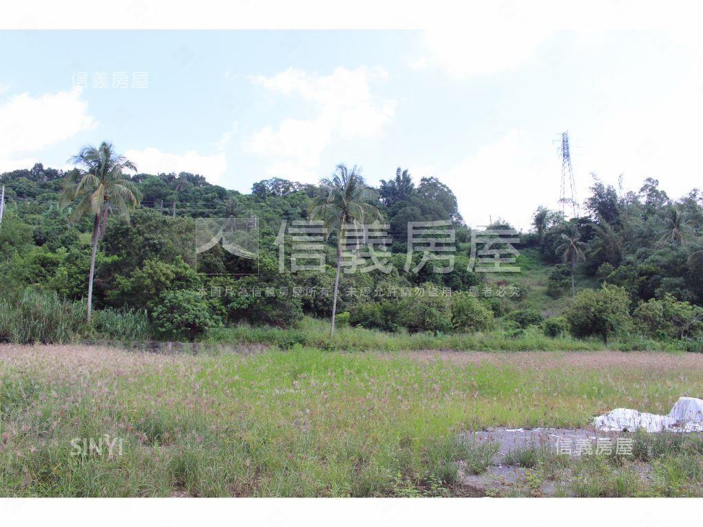 甲仙９７７坪住宅區角地房屋室內格局與周邊環境