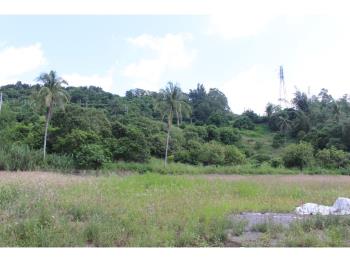 甲仙９７７坪住宅區角地