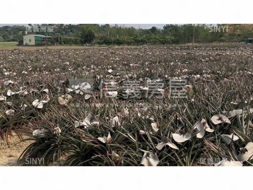 鳳梨故鄉關廟農地Ａ房屋室內格局與周邊環境
