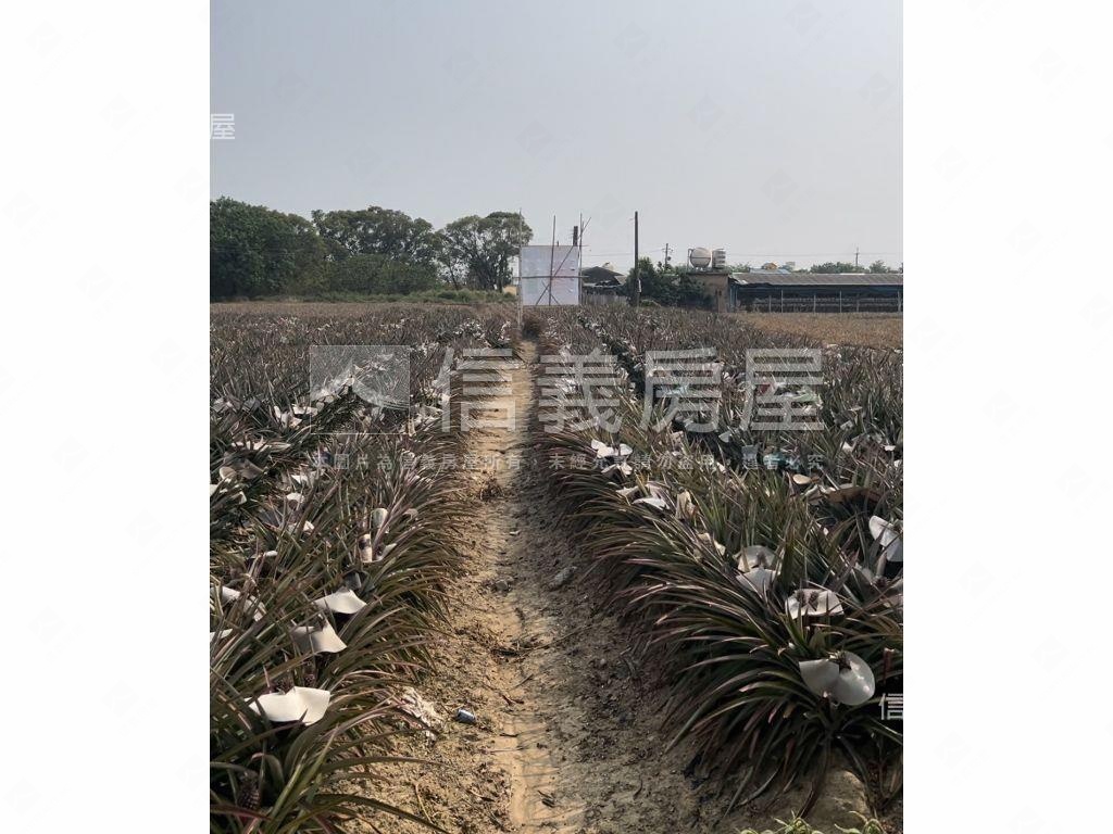 鳳梨故鄉關廟農地Ａ房屋室內格局與周邊環境