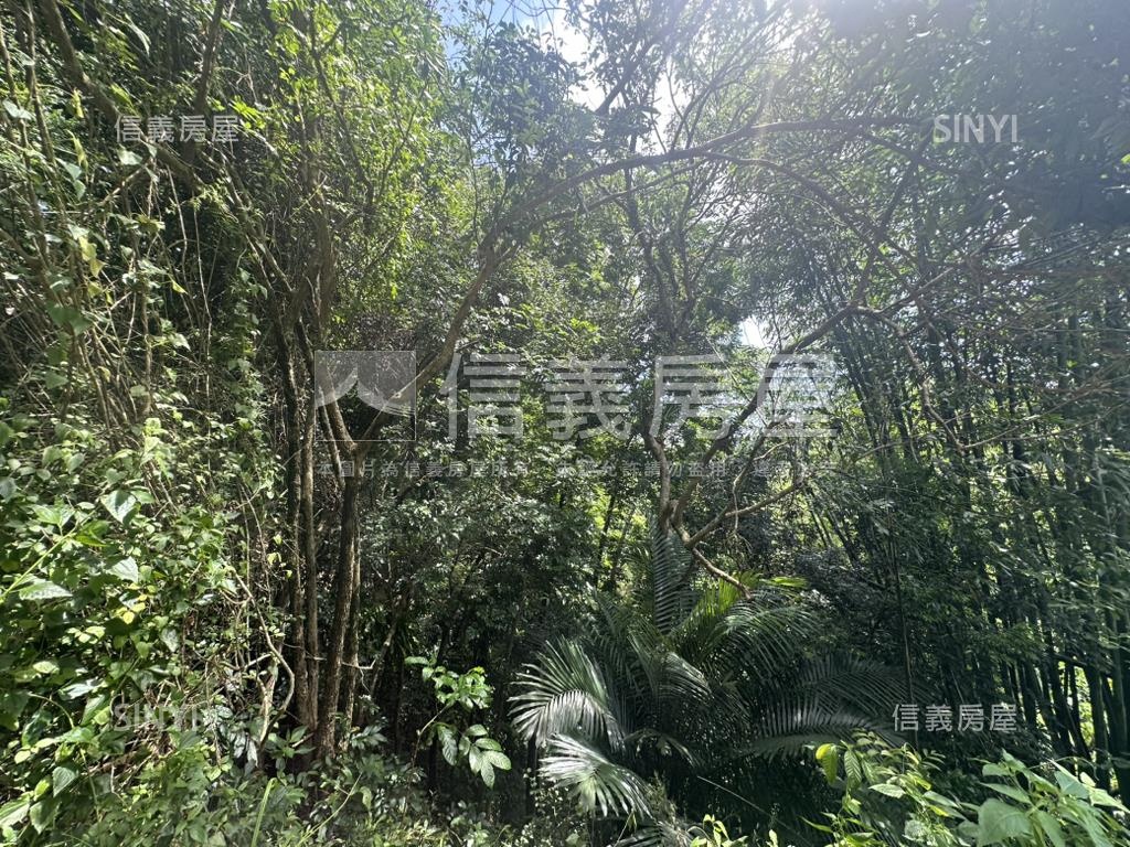 集集臨路山坡地設資材室房屋室內格局與周邊環境