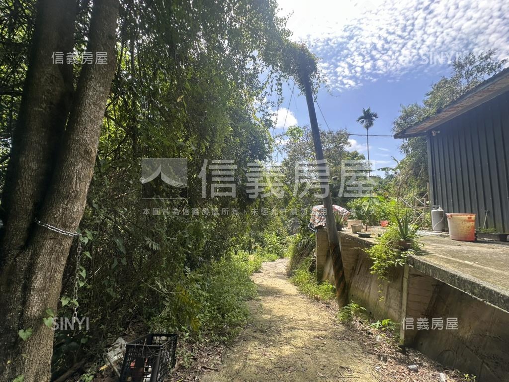 集集臨路山坡地設資材室房屋室內格局與周邊環境