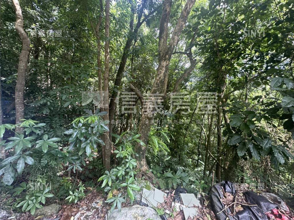 集集臨路山坡地設資材室房屋室內格局與周邊環境