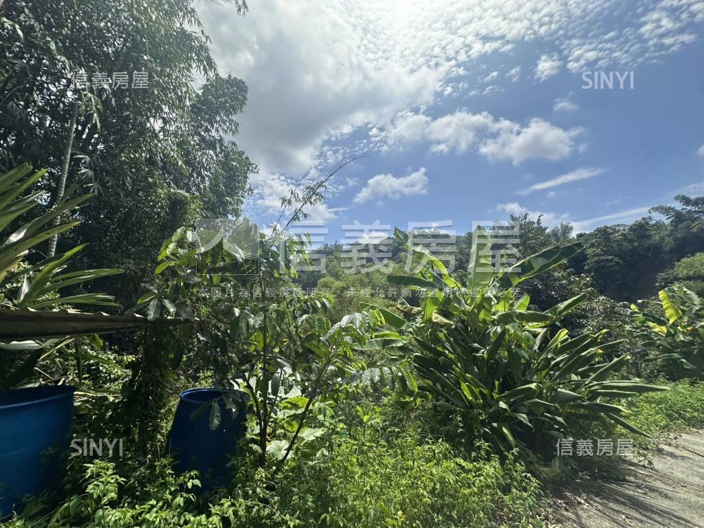 集集臨路山坡地設資材室房屋室內格局與周邊環境