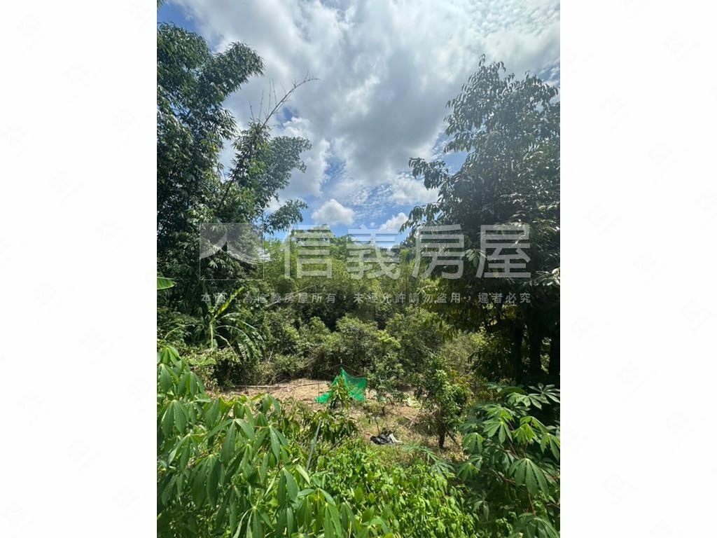 集集臨路山坡地設資材室房屋室內格局與周邊環境