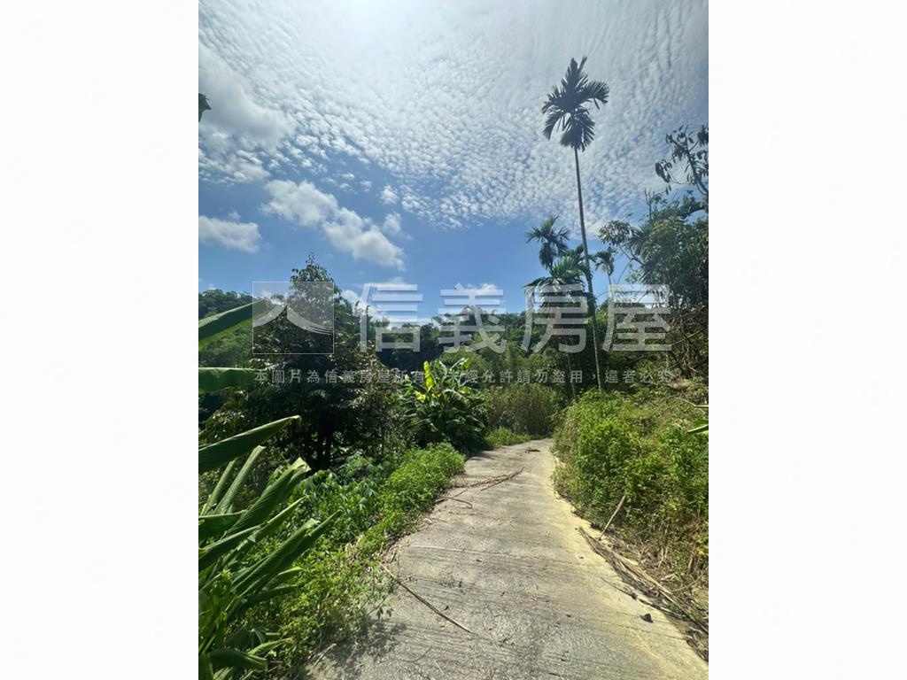 集集臨路山坡地設資材室房屋室內格局與周邊環境