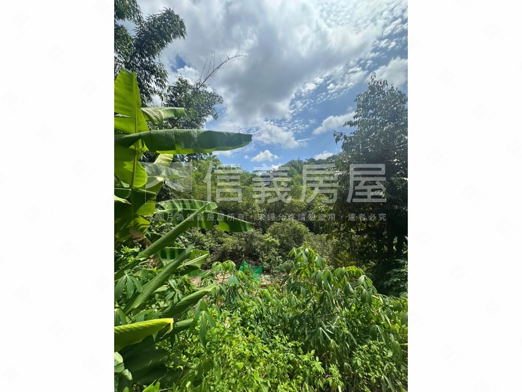 集集臨路山坡地設資材室房屋室內格局與周邊環境