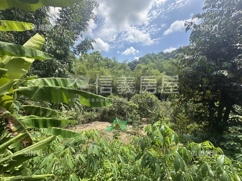 集集臨路山坡地設資材室房屋室內格局與周邊環境