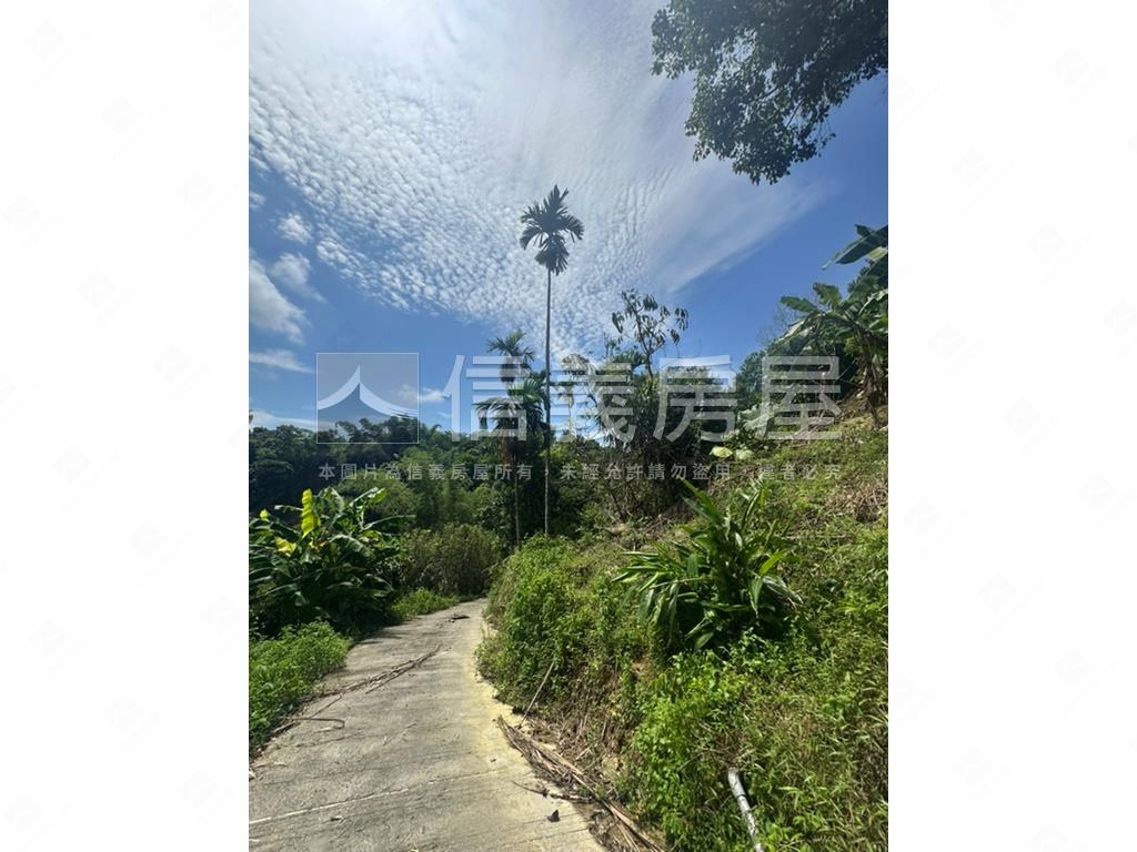 集集臨路山坡地設資材室房屋室內格局與周邊環境