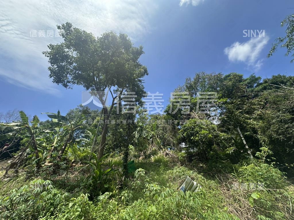 集集臨路山坡地設資材室房屋室內格局與周邊環境