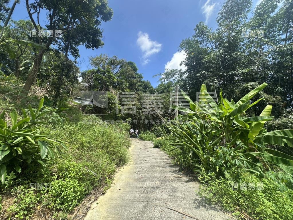 集集臨路山坡地設資材室房屋室內格局與周邊環境