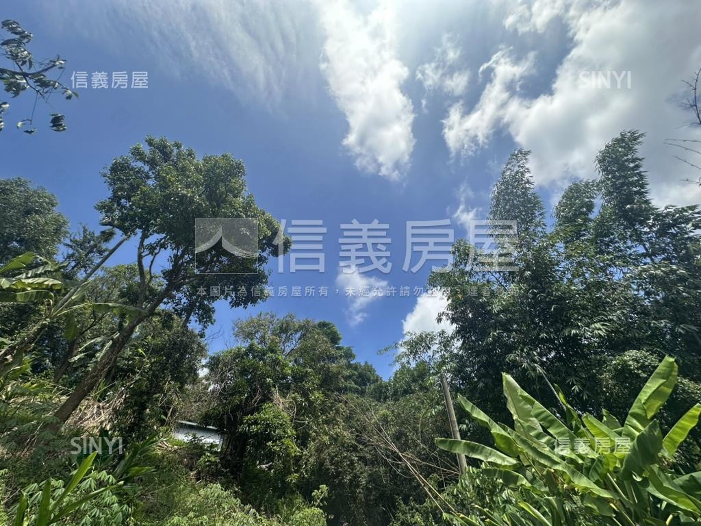 集集臨路山坡地設資材室房屋室內格局與周邊環境