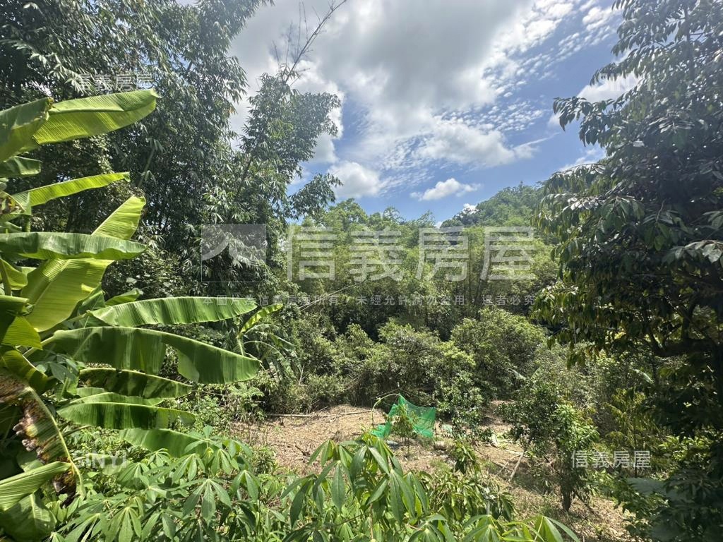 集集臨路山坡地設資材室房屋室內格局與周邊環境