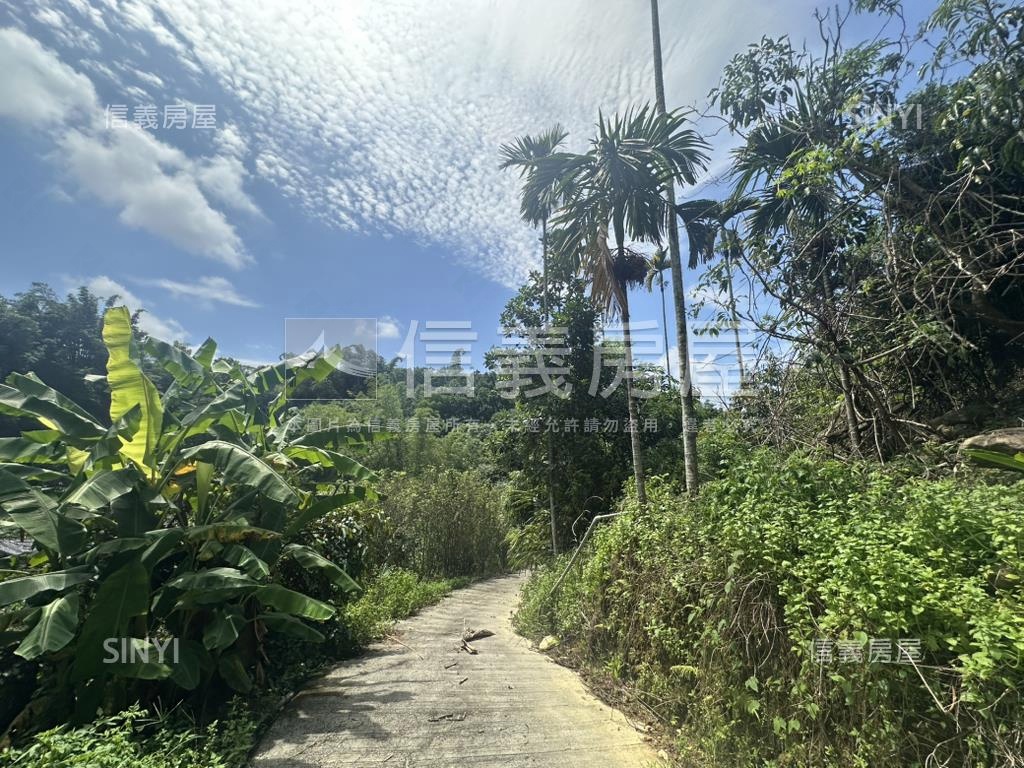 集集臨路山坡地設資材室房屋室內格局與周邊環境