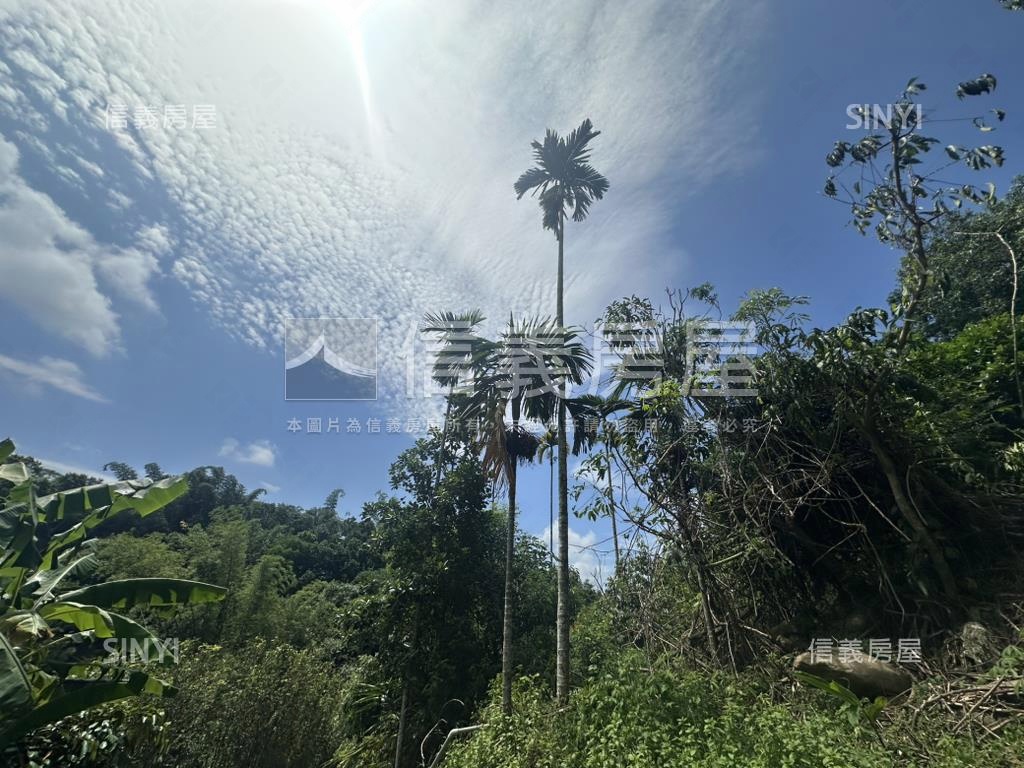 集集臨路山坡地設資材室房屋室內格局與周邊環境