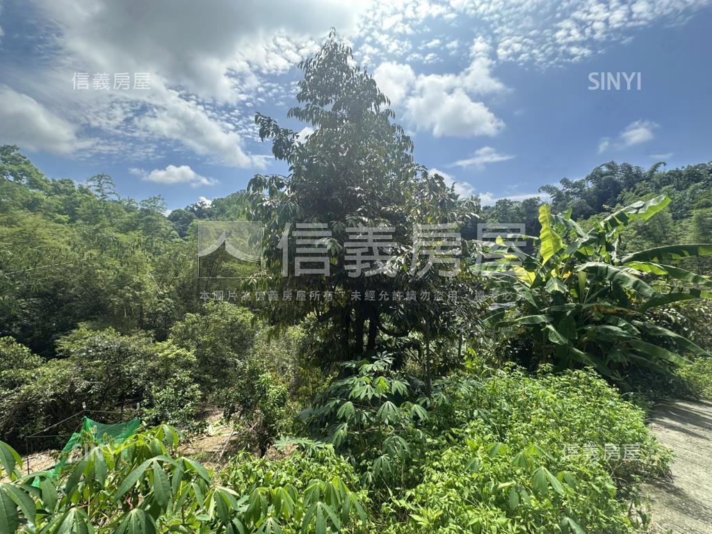 集集臨路山坡地設資材室房屋室內格局與周邊環境