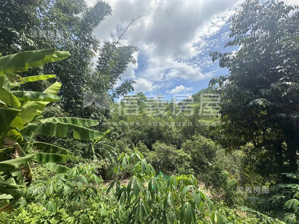 集集臨路山坡地設資材室房屋室內格局與周邊環境