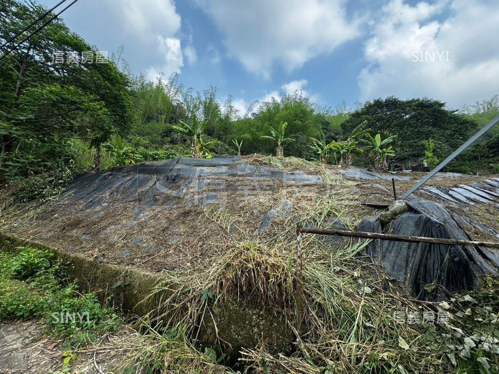 台中太平臨路角地房屋室內格局與周邊環境