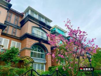 內湖四期湖綠歐庭院別墅