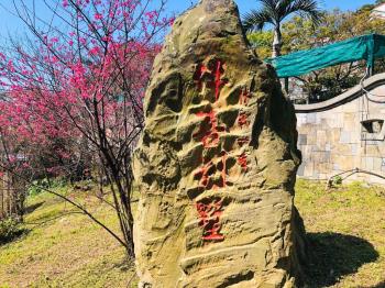 伴吾庭院稀有釋出