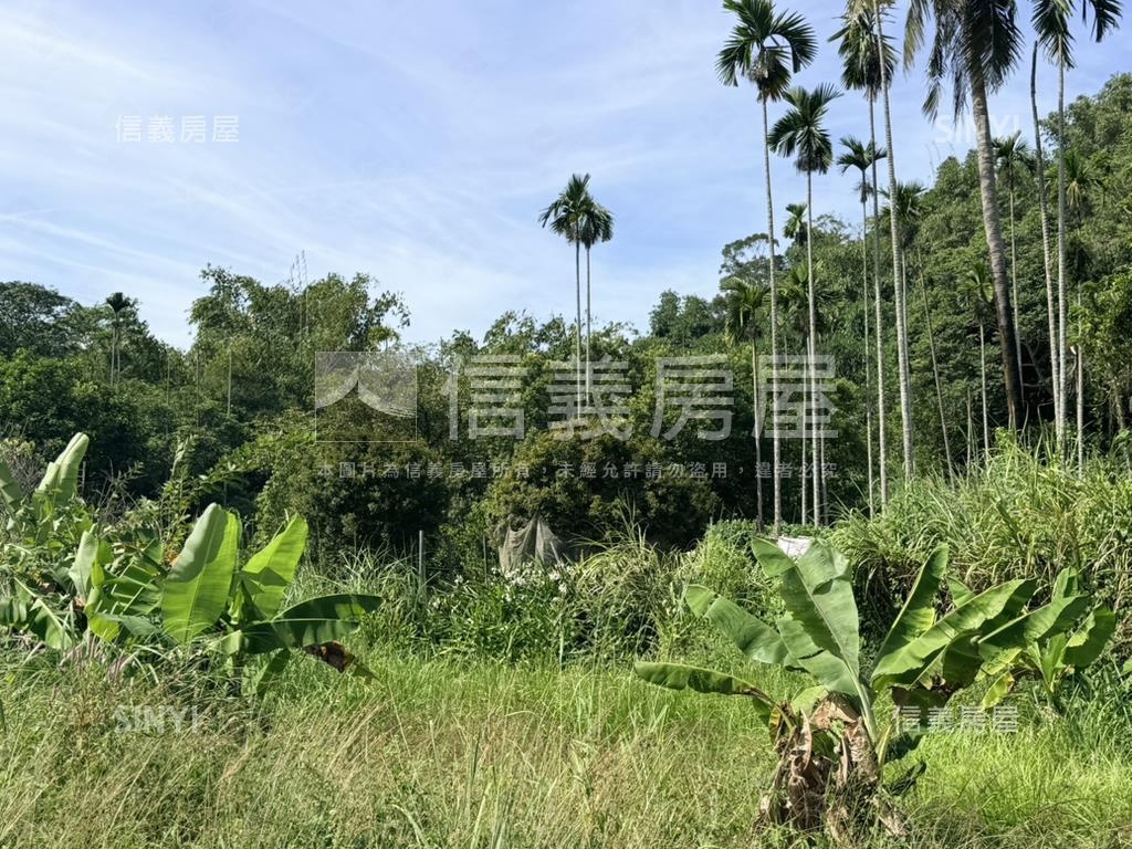 近國際高爾夫球場美農地房屋室內格局與周邊環境