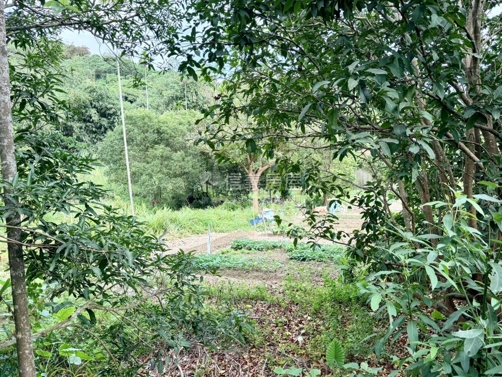 近國際高爾夫球場美農地房屋室內格局與周邊環境