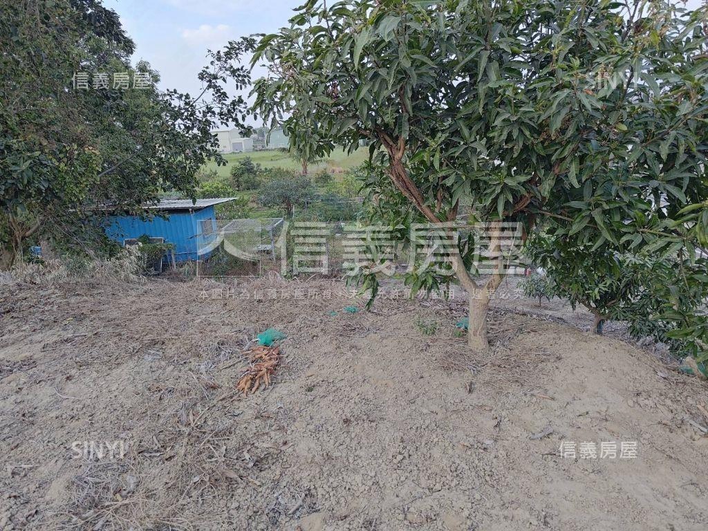 歸仁│八甲東段臨路農地房屋室內格局與周邊環境