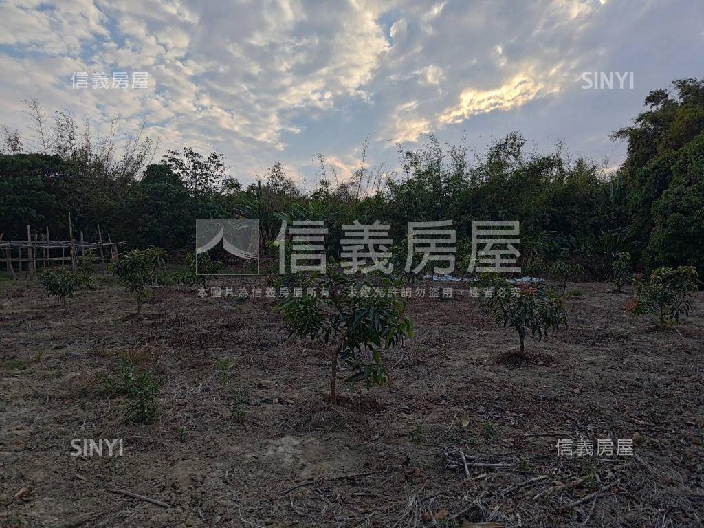 歸仁│八甲東段臨路農地房屋室內格局與周邊環境