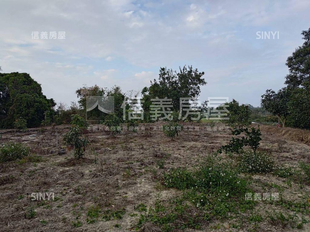 歸仁│八甲東段臨路農地房屋室內格局與周邊環境