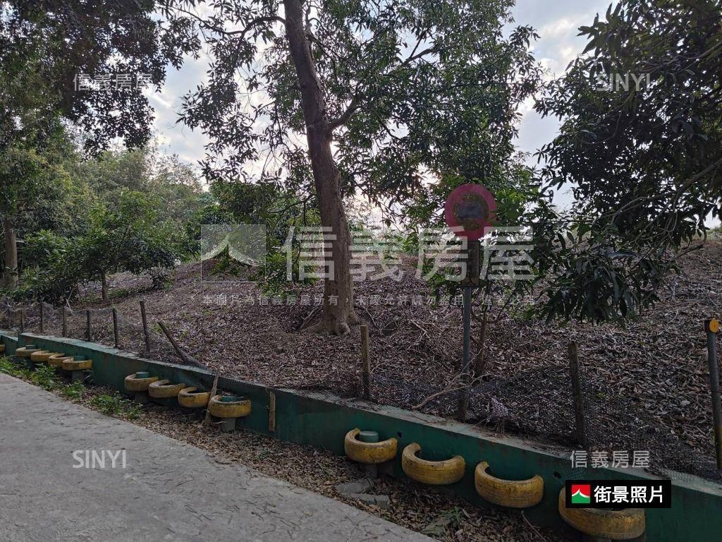 歸仁│八甲東段臨路農地房屋室內格局與周邊環境