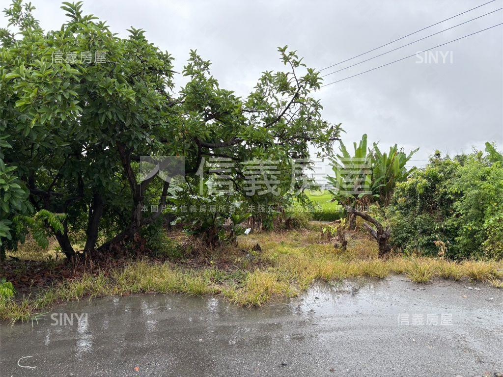 專任！彰化土地房屋室內格局與周邊環境