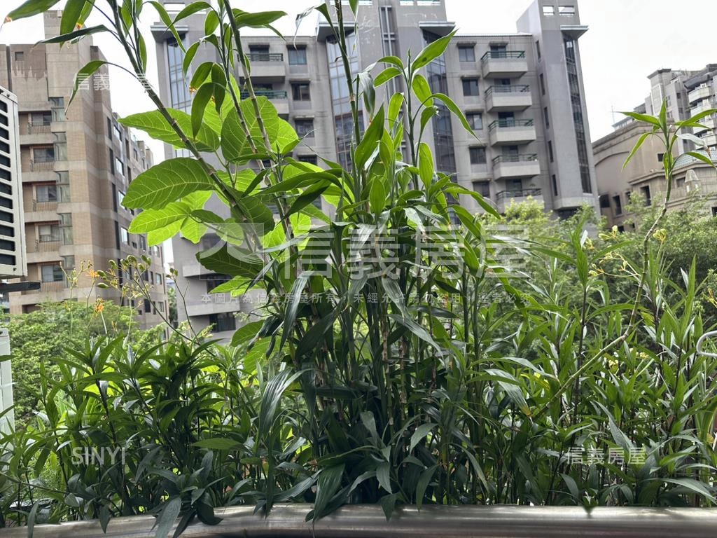 皇普步步高升房屋室內格局與周邊環境