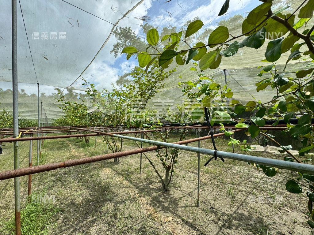關廟區龜洞段土地Ｂ房屋室內格局與周邊環境