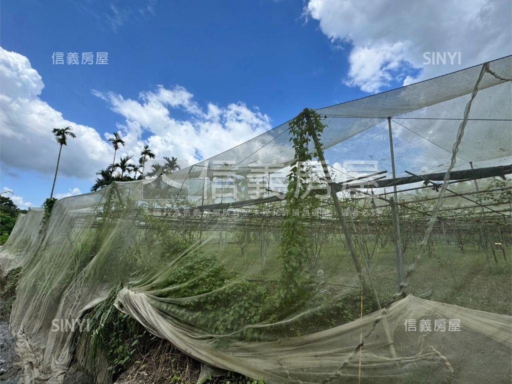 關廟區龜洞段土地Ｂ房屋室內格局與周邊環境