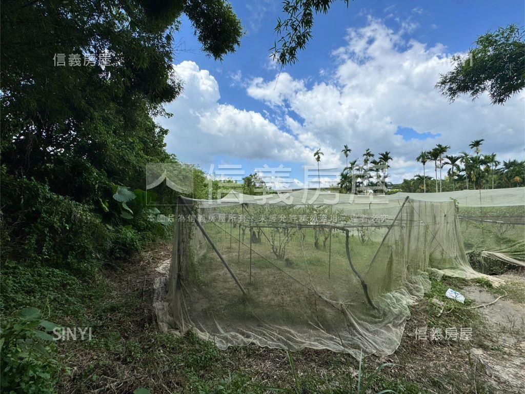 關廟區龜洞段土地Ｂ房屋室內格局與周邊環境