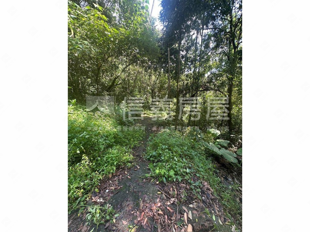 南投集集山坡地保育區土地房屋室內格局與周邊環境