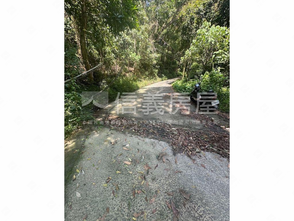 南投集集山坡地保育區土地房屋室內格局與周邊環境