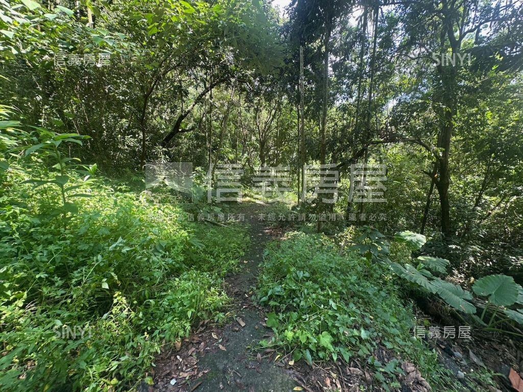 南投集集山坡地保育區土地房屋室內格局與周邊環境