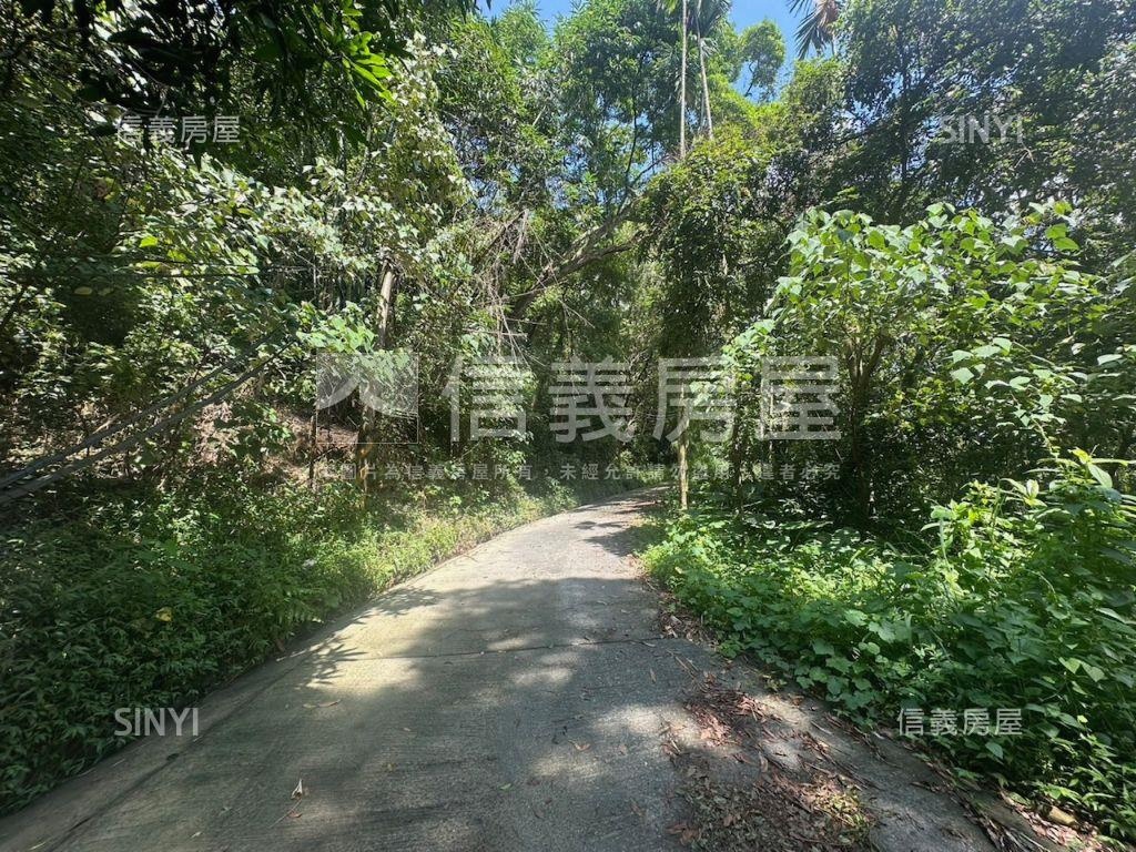 南投集集山坡地保育區土地房屋室內格局與周邊環境