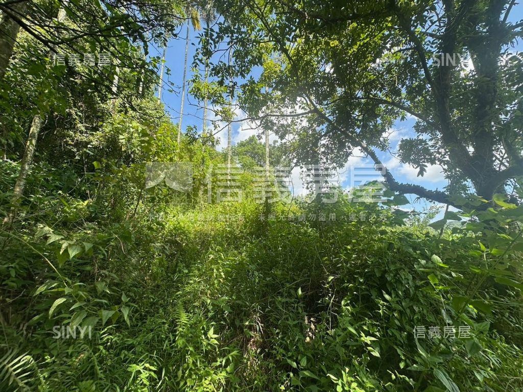 南投集集山坡地保育區土地房屋室內格局與周邊環境