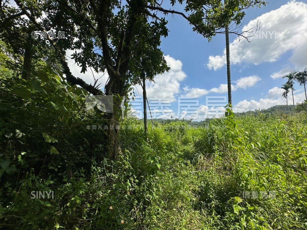 南投集集山坡地保育區土地房屋室內格局與周邊環境