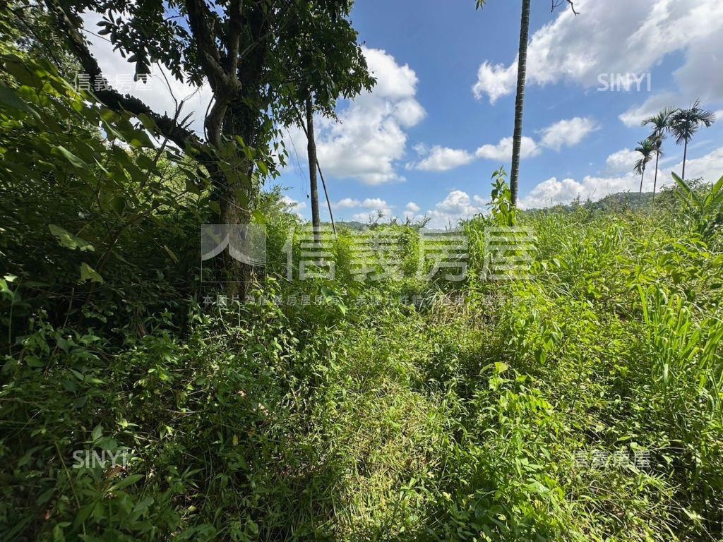 南投集集山坡地保育區土地房屋室內格局與周邊環境