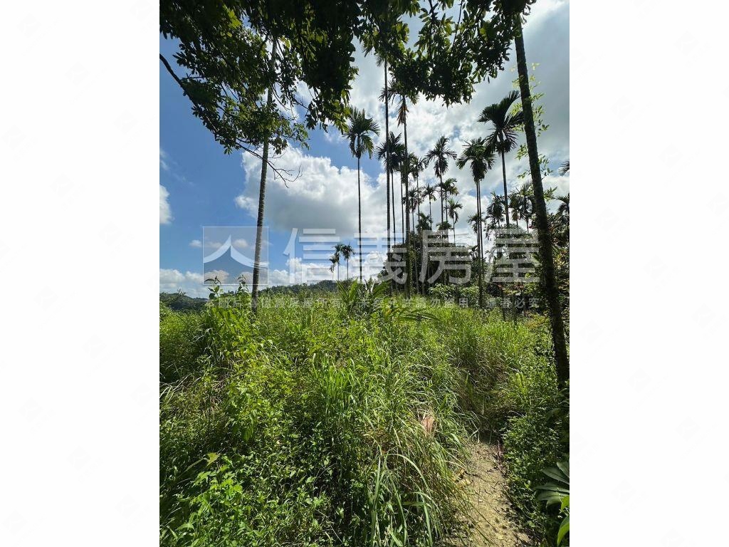 南投集集山坡地保育區土地房屋室內格局與周邊環境