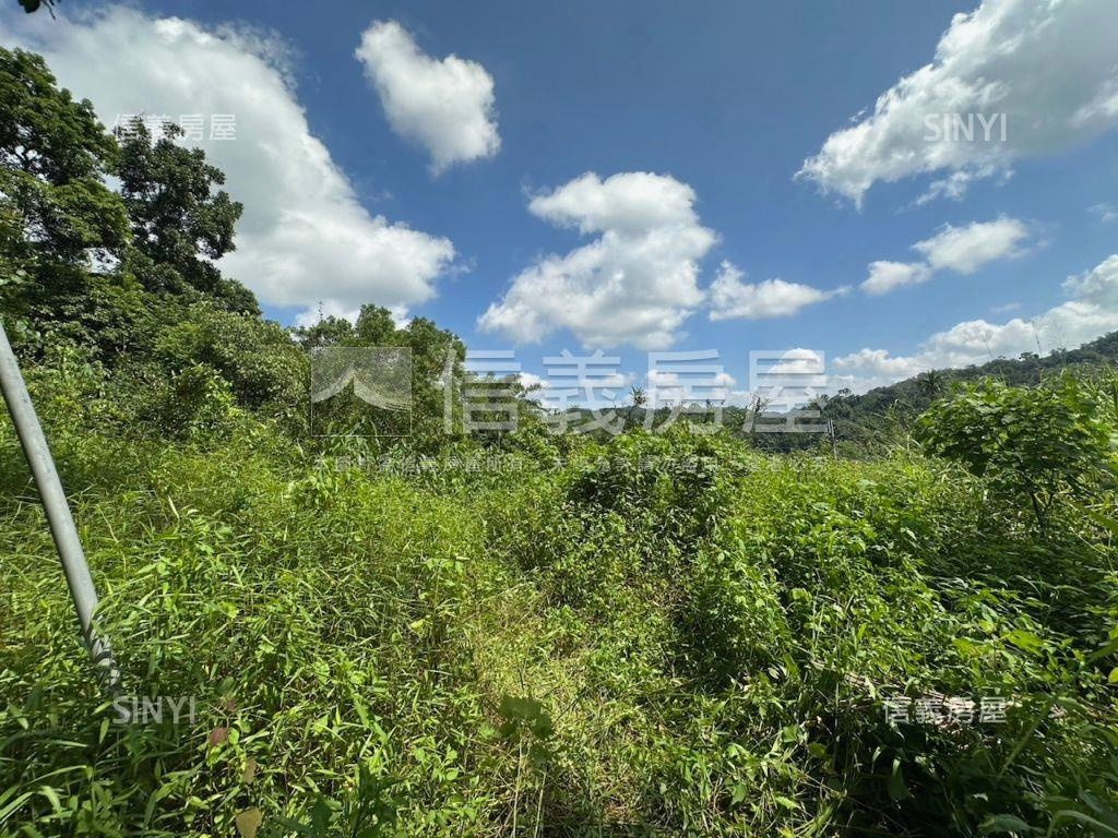 南投集集山坡地保育區土地房屋室內格局與周邊環境