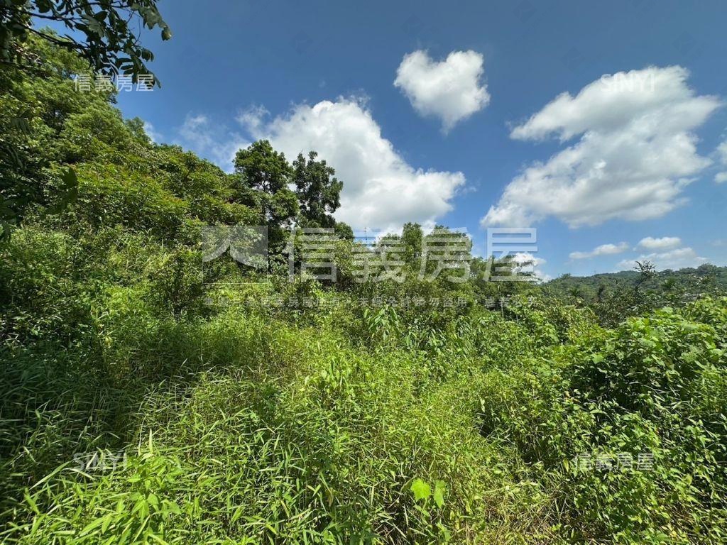 南投集集山坡地保育區土地房屋室內格局與周邊環境