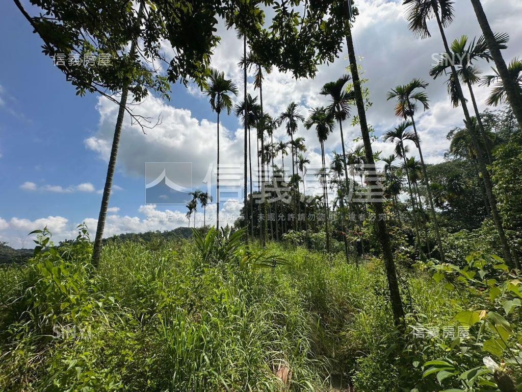 南投集集山坡地保育區土地房屋室內格局與周邊環境